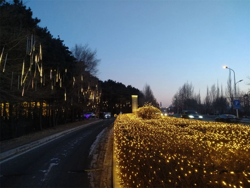 1761545685345642.jpg 12.jpg